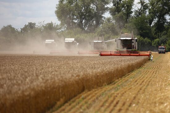 Russia Agriculture Wheat Harvesting