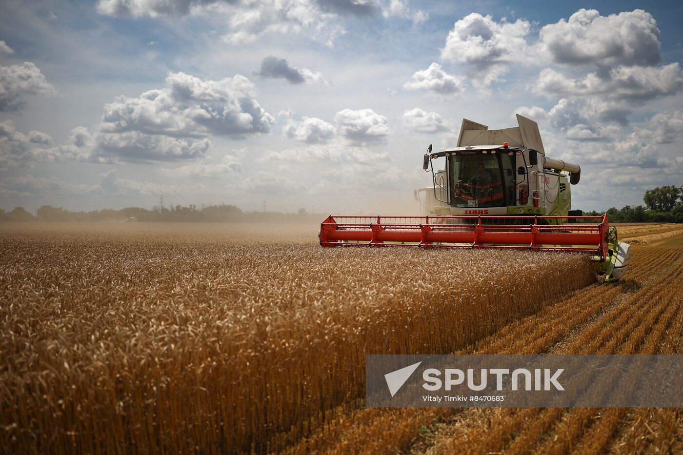 Russia Agriculture Wheat Harvesting