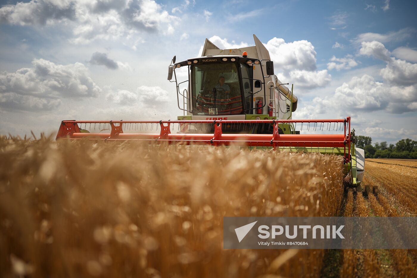 Russia Agriculture Wheat Harvesting