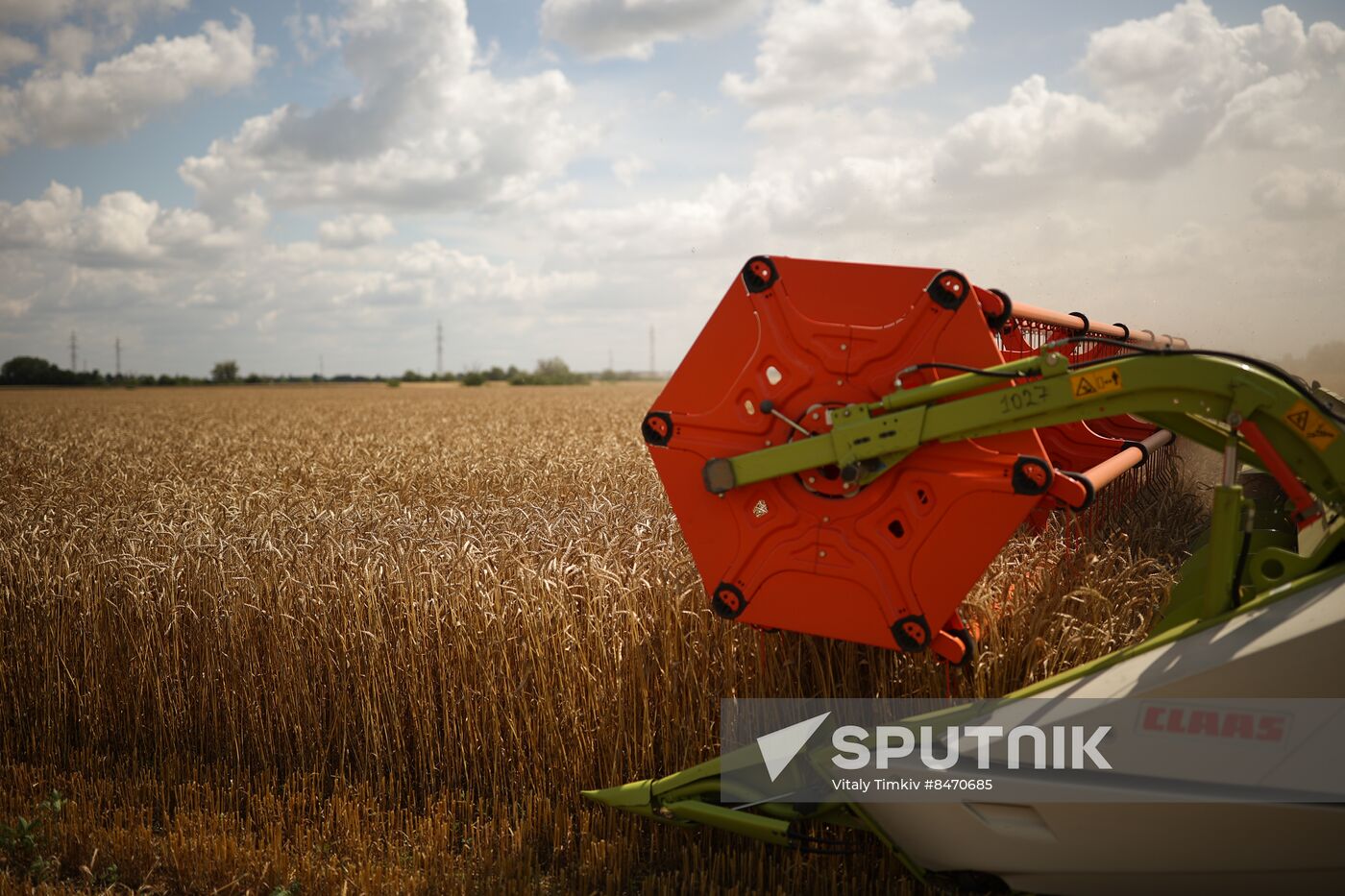 Russia Agriculture Wheat Harvesting