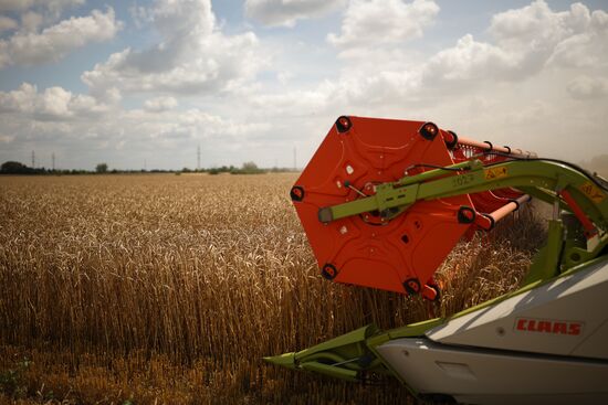 Russia Agriculture Wheat Harvesting
