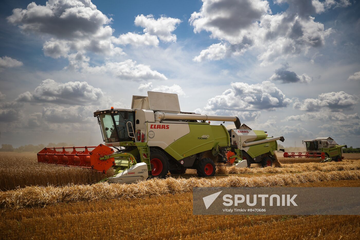 Russia Agriculture Wheat Harvesting