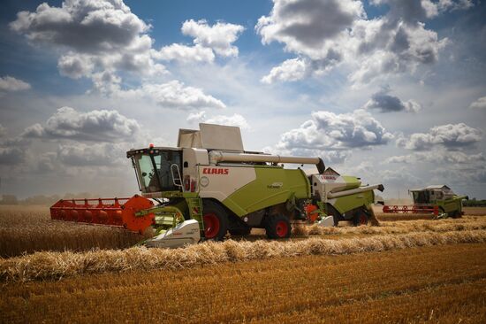 Russia Agriculture Wheat Harvesting