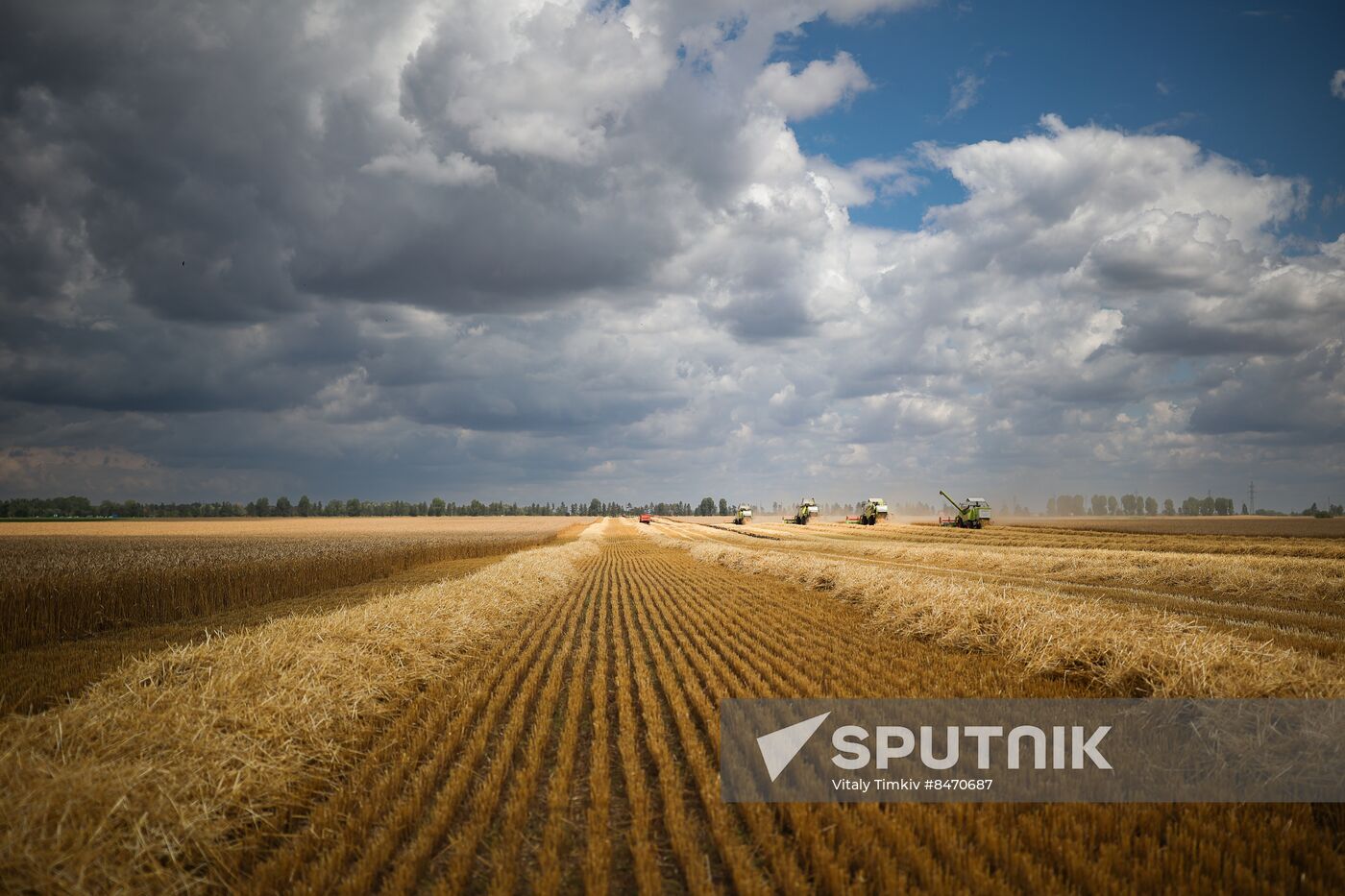 Russia Agriculture Wheat Harvesting