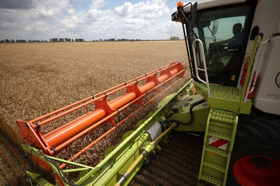 Russia Agriculture Wheat Harvesting