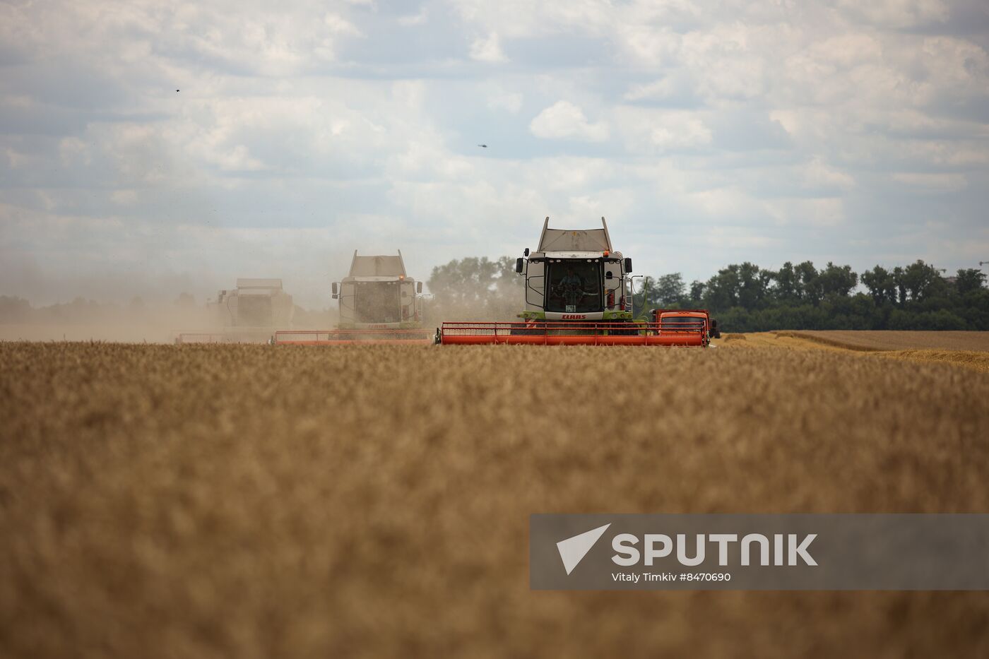 Russia Agriculture Wheat Harvesting