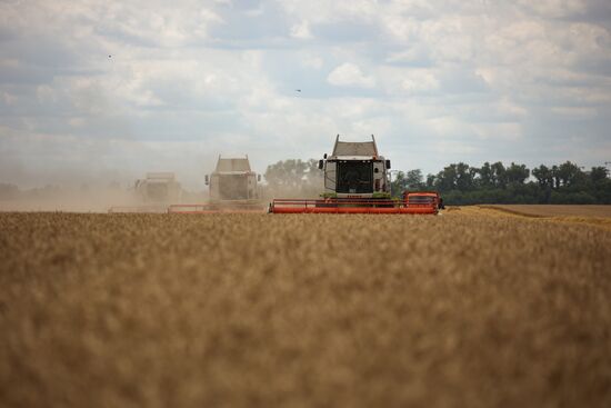 Russia Agriculture Wheat Harvesting