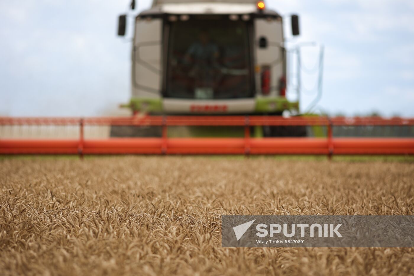 Russia Agriculture Wheat Harvesting