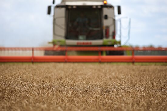 Russia Agriculture Wheat Harvesting