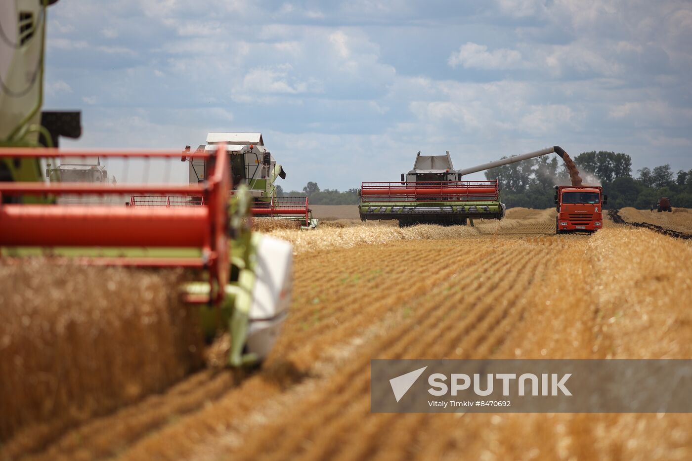 Russia Agriculture Wheat Harvesting