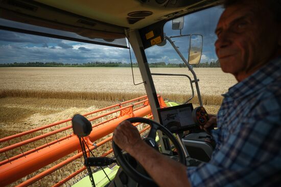 Russia Agriculture Wheat Harvesting