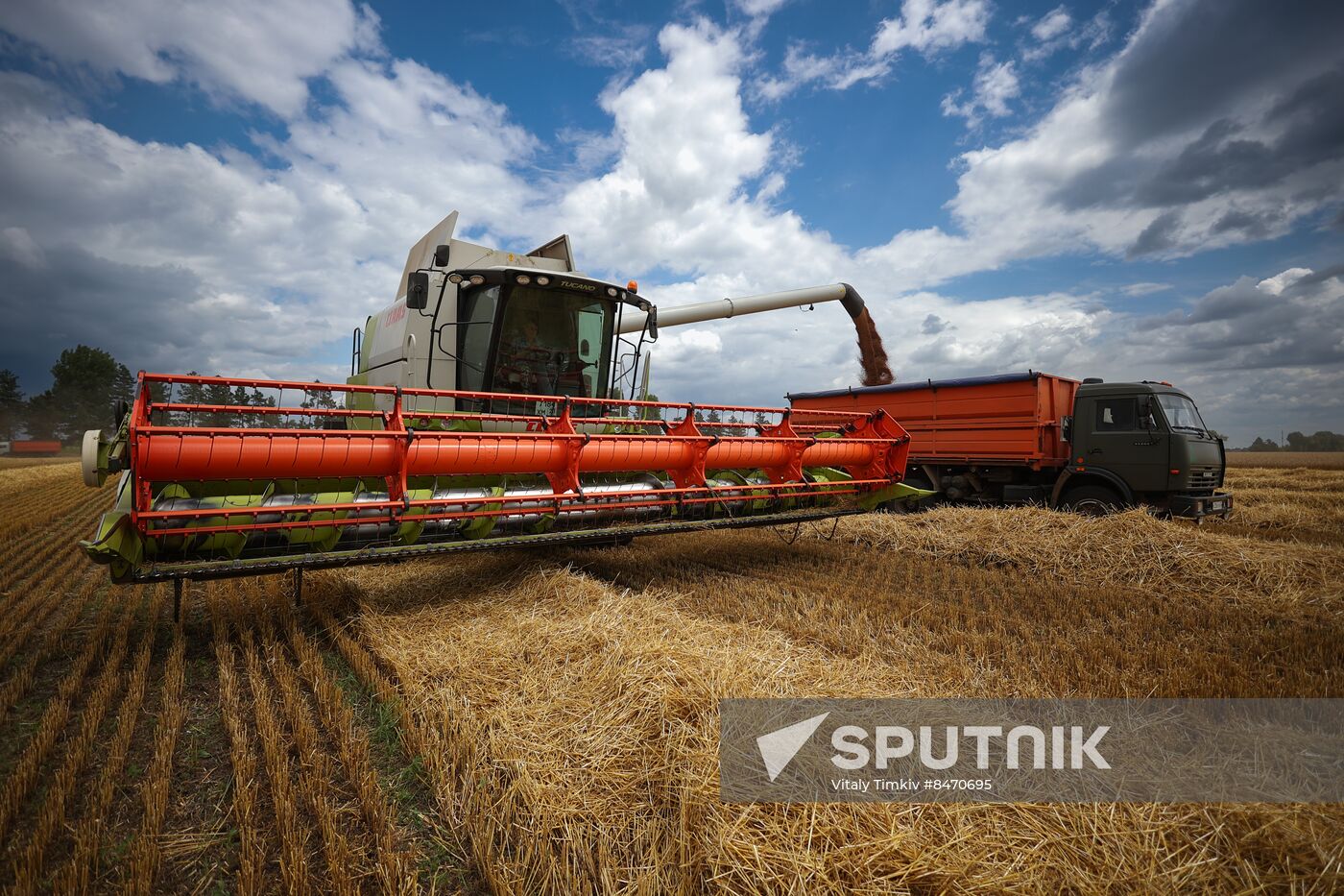 Russia Agriculture Wheat Harvesting