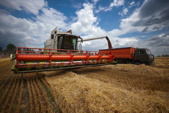 Russia Agriculture Wheat Harvesting