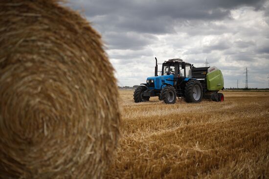 Russia Agriculture Wheat Harvesting