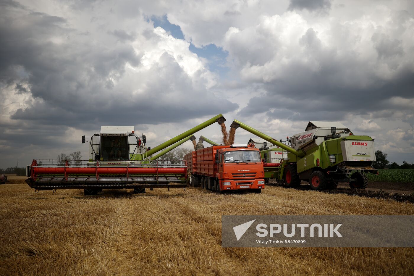 Russia Agriculture Wheat Harvesting