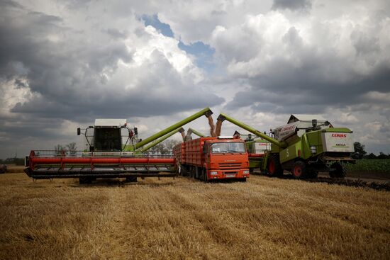 Russia Agriculture Wheat Harvesting