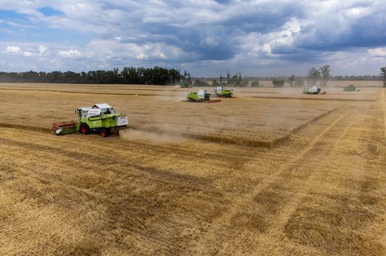 Russia Agriculture Wheat Harvesting