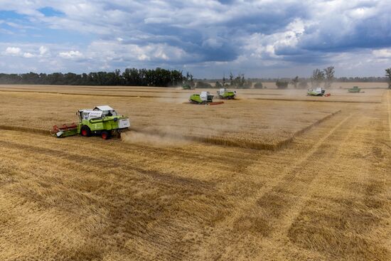Russia Agriculture Wheat Harvesting