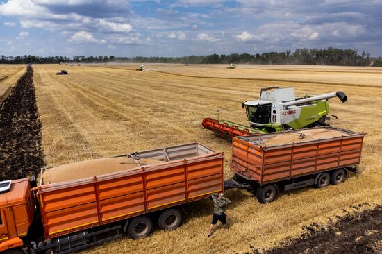 Russia Agriculture Wheat Harvesting