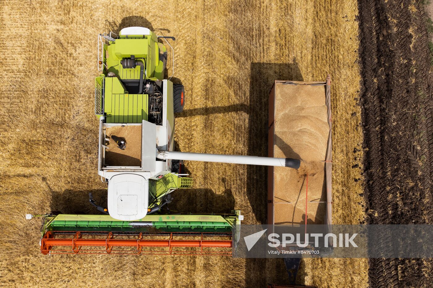 Russia Agriculture Wheat Harvesting