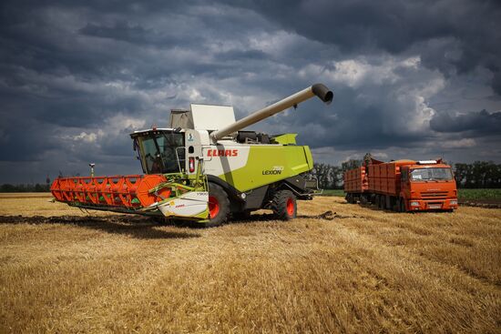 Russia Agriculture Wheat Harvesting