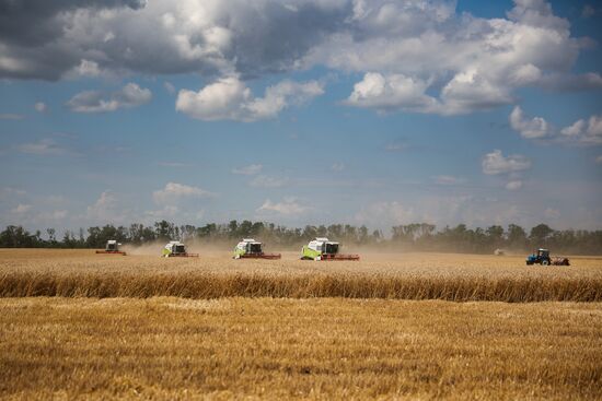 Russia Agriculture Wheat Harvesting