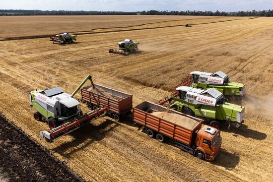 Russia Agriculture Wheat Harvesting