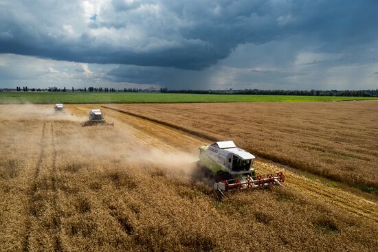 Russia Agriculture Wheat Harvesting