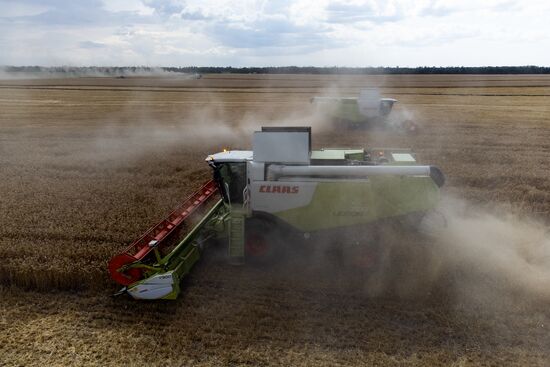 Russia Agriculture Wheat Harvesting