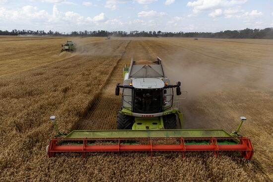Russia Agriculture Wheat Harvesting