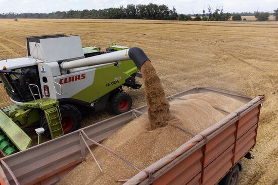 Russia Agriculture Wheat Harvesting