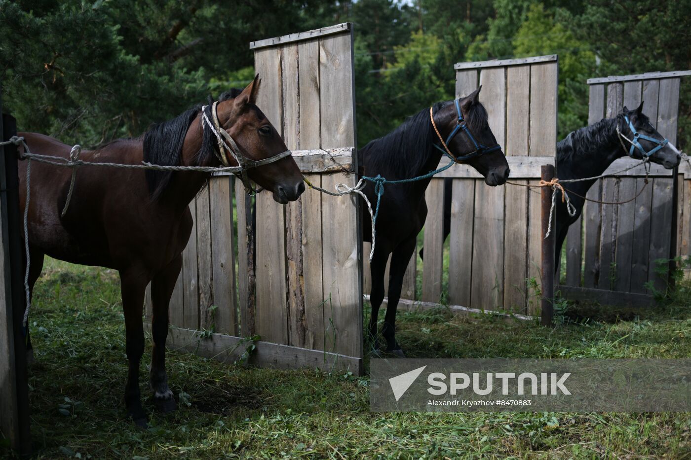 Russia Horse Racing