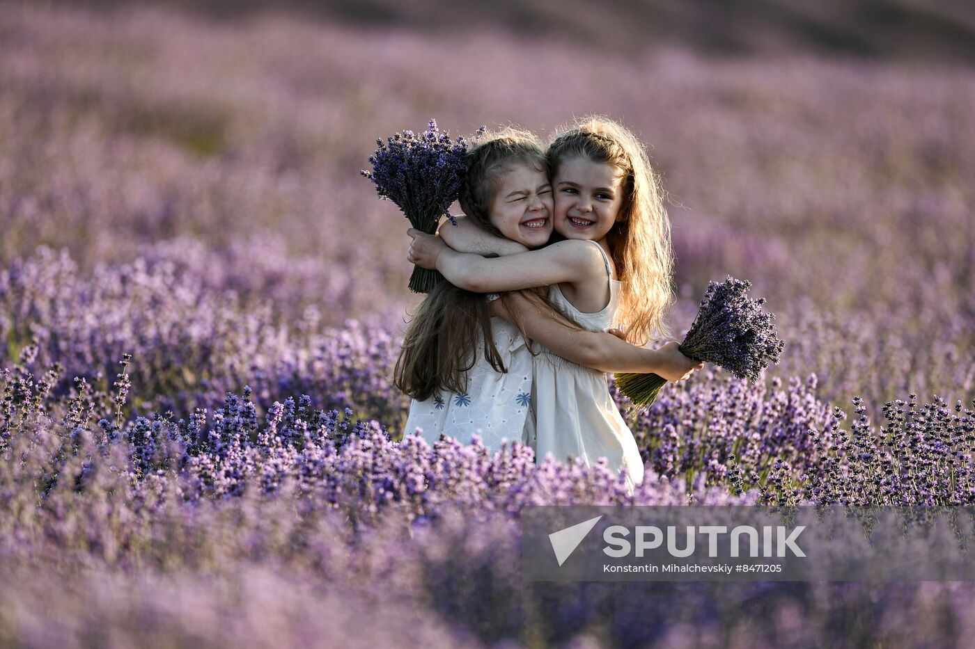 Russia Lavender Fields