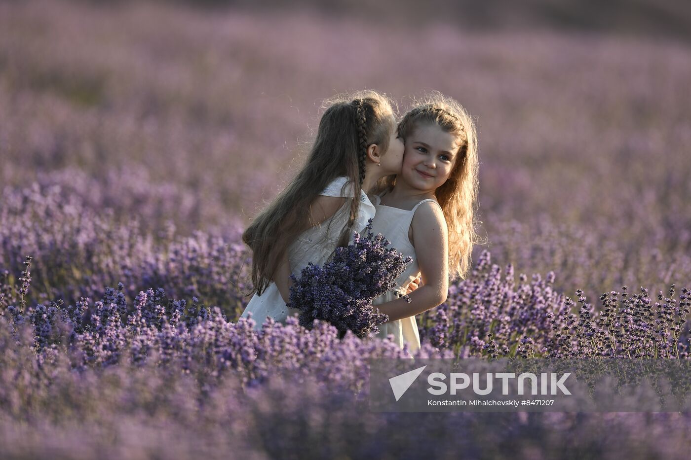 Russia Lavender Fields