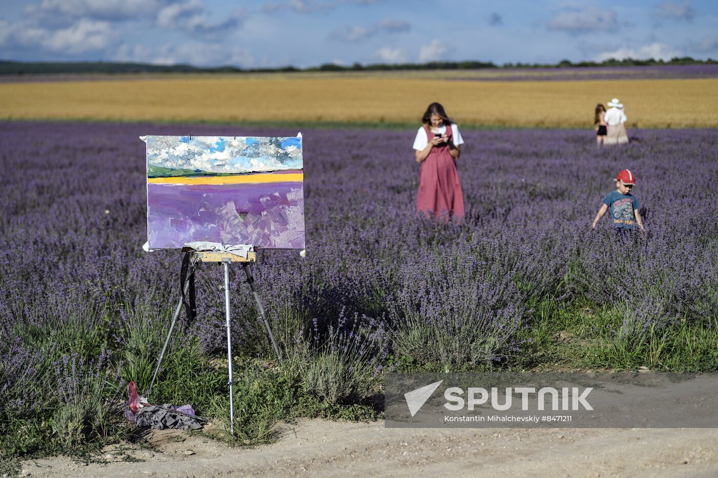 Russia Lavender Fields