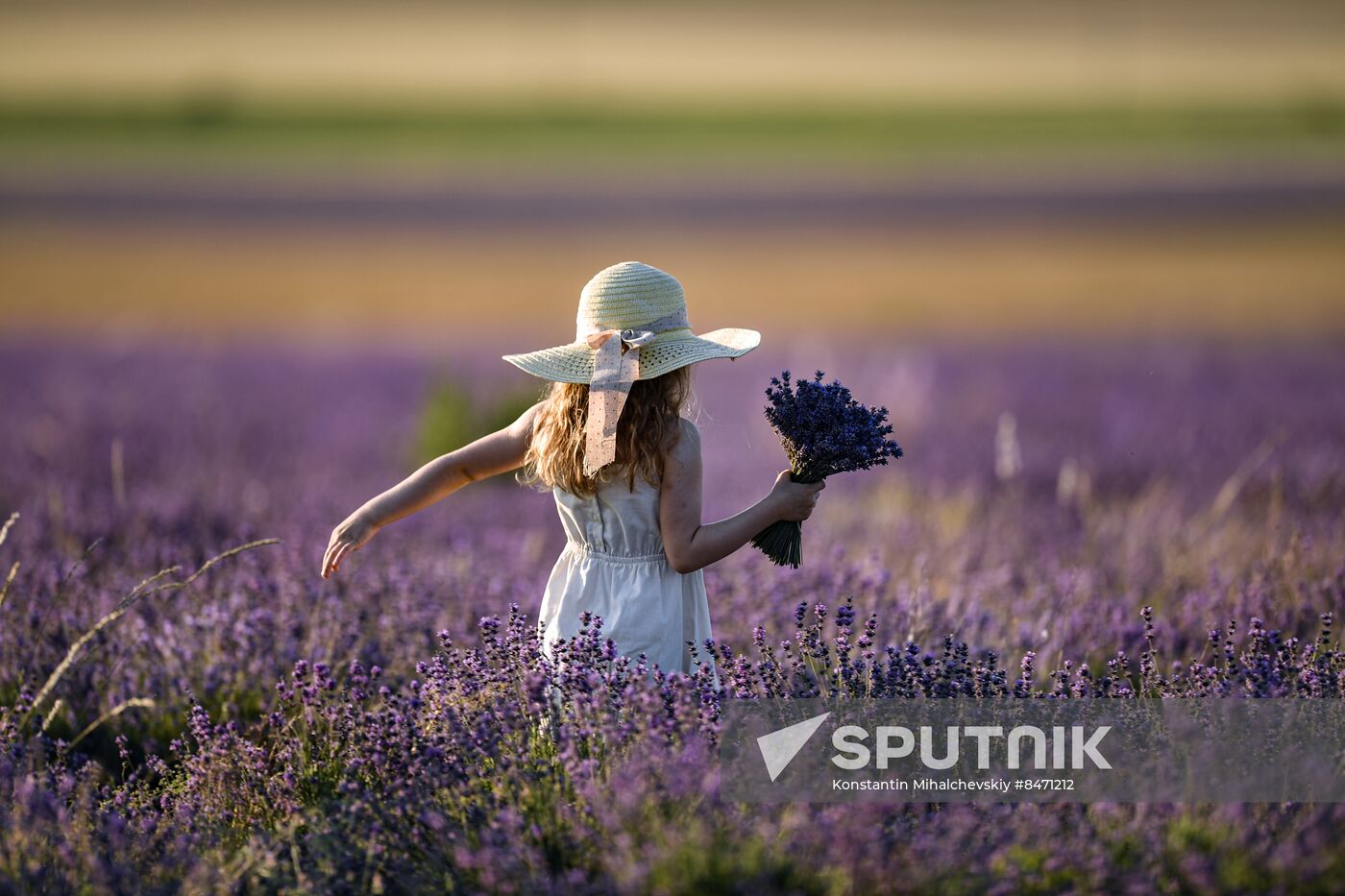 Russia Lavender Fields