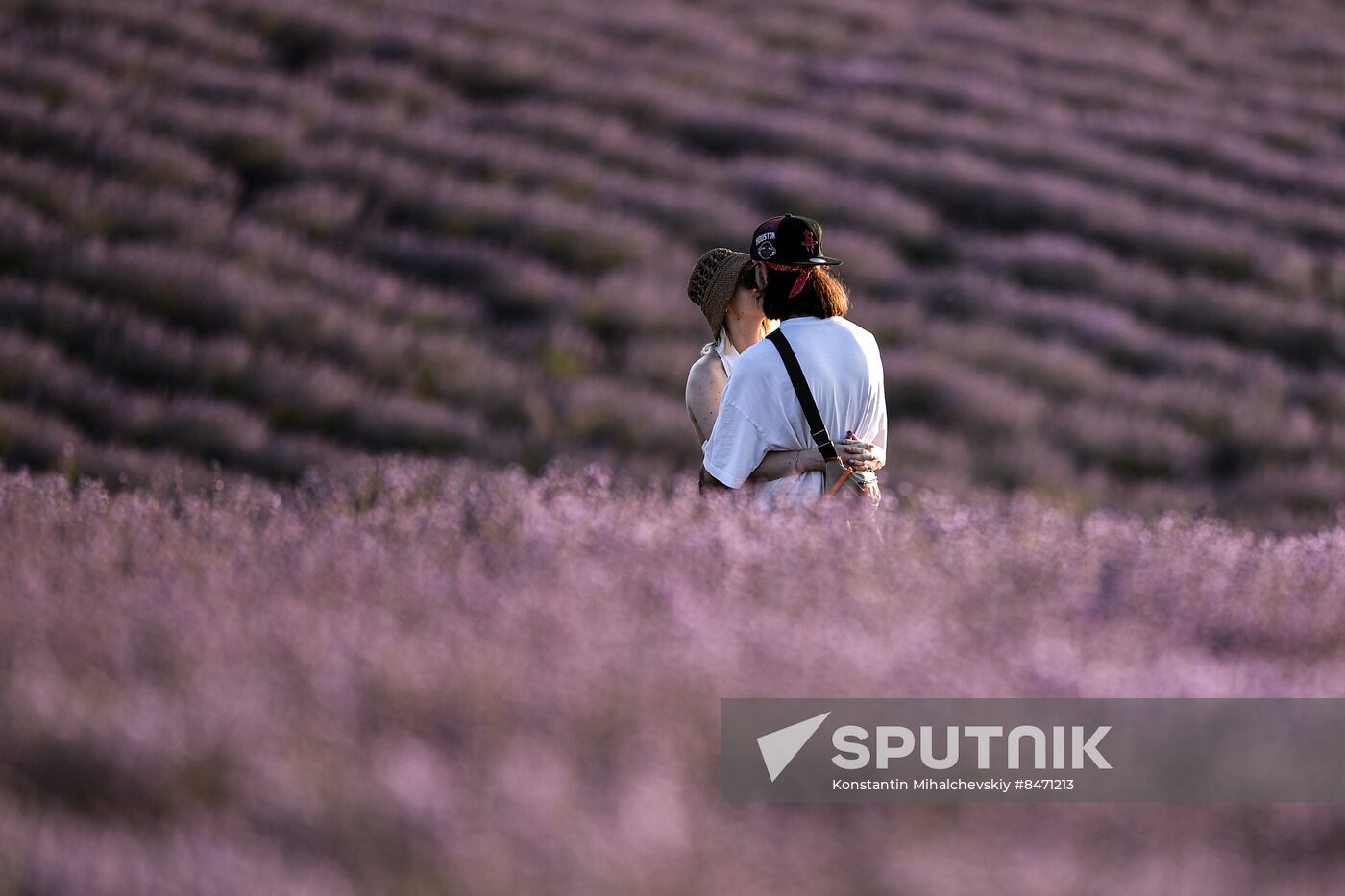 Russia Lavender Fields