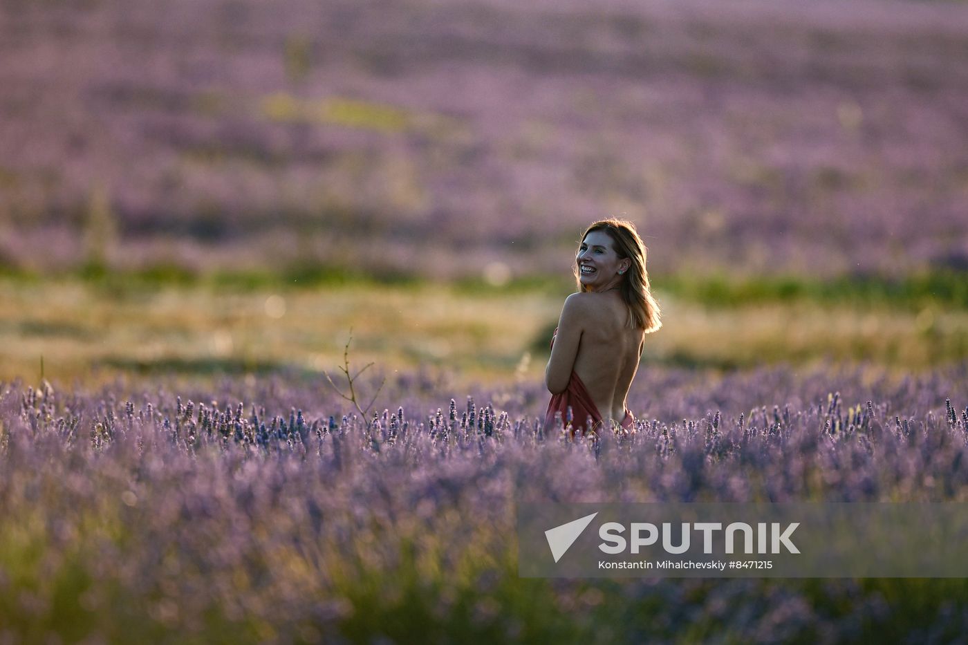 Russia Lavender Fields