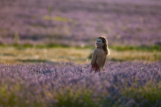 Russia Lavender Fields