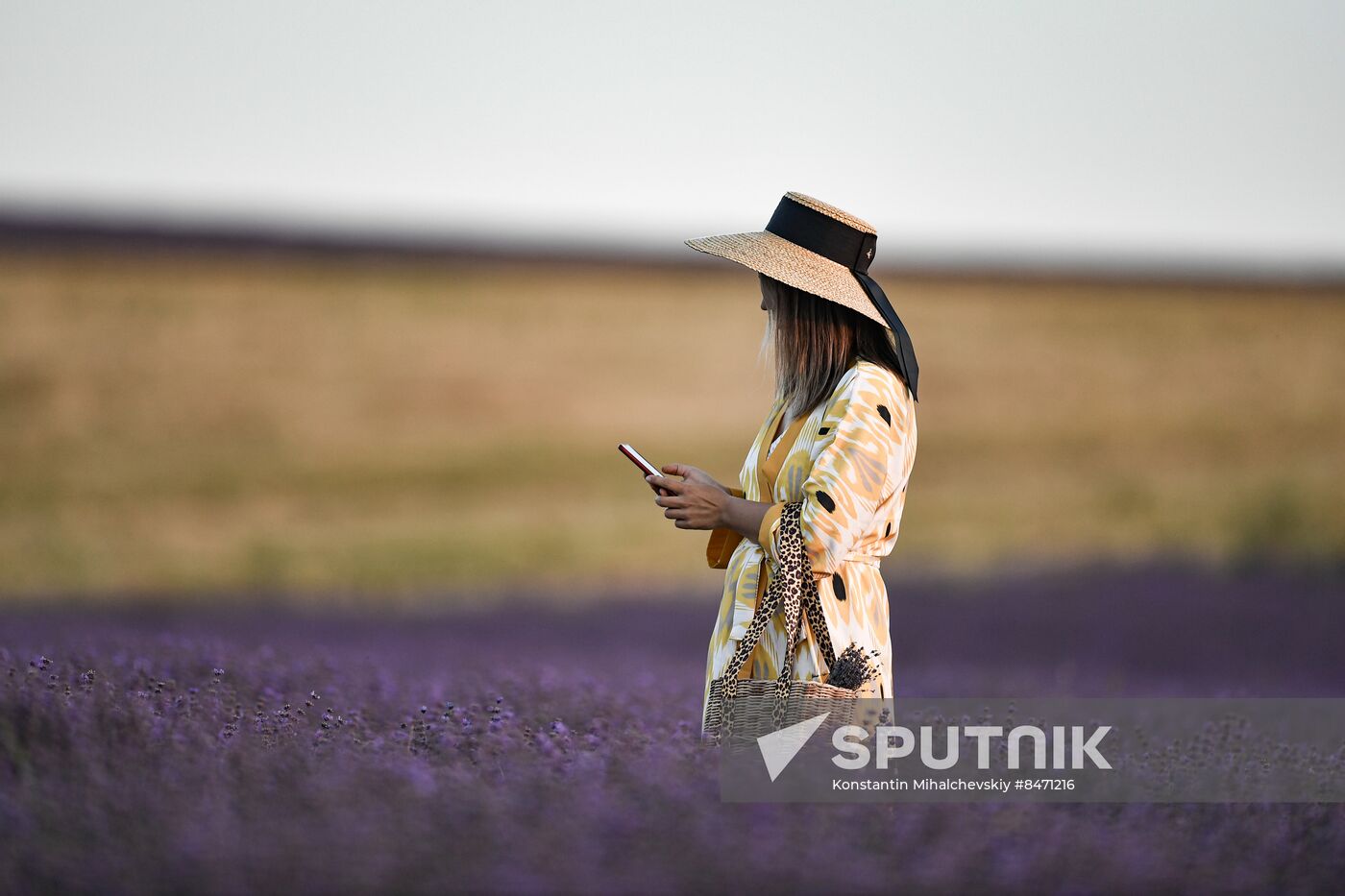 Russia Lavender Fields