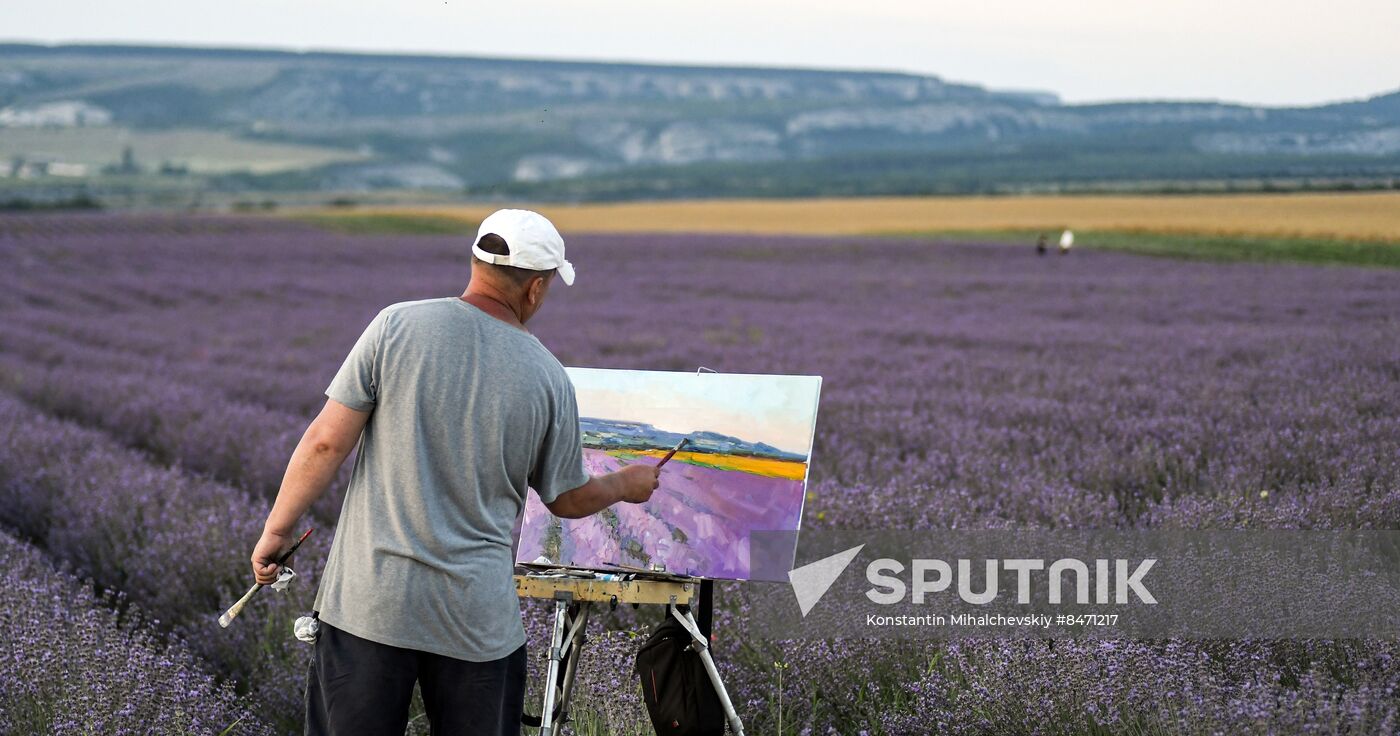 Russia Lavender Fields