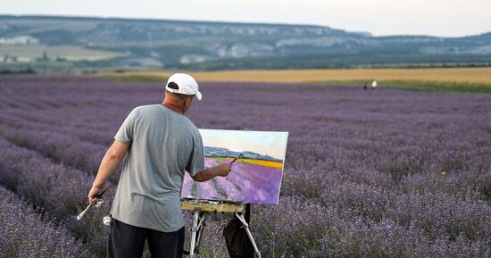 Russia Lavender Fields