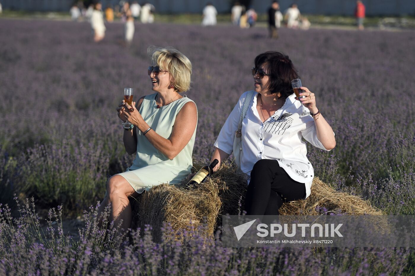 Russia Lavender Fields