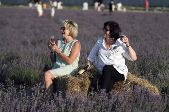 Russia Lavender Fields