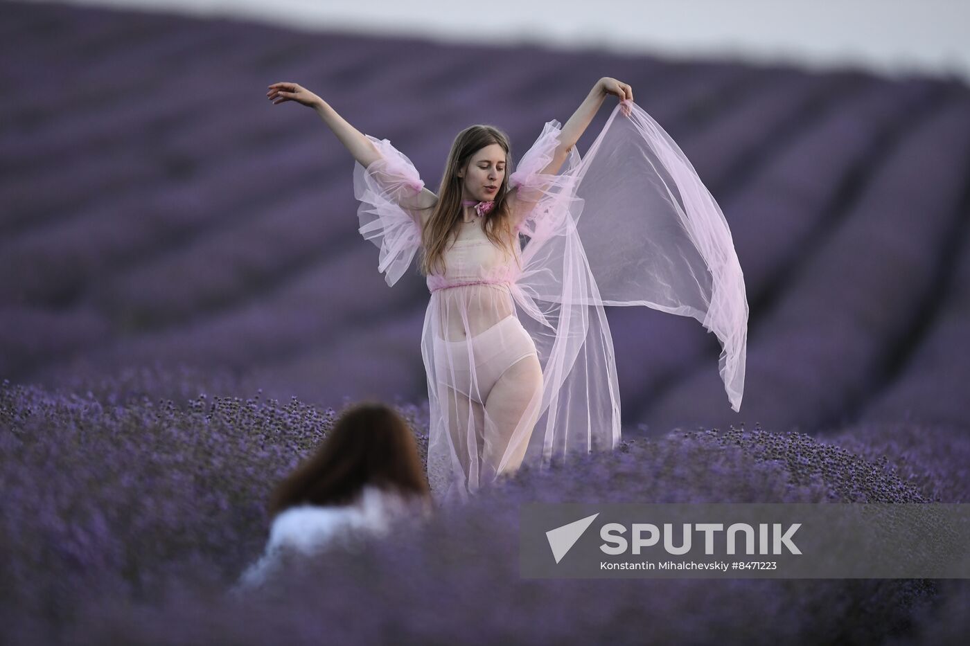 Russia Lavender Fields