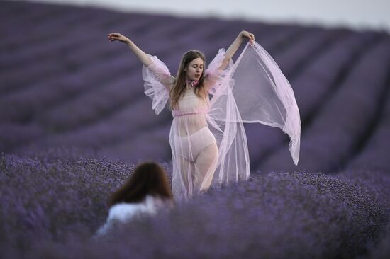 Russia Lavender Fields