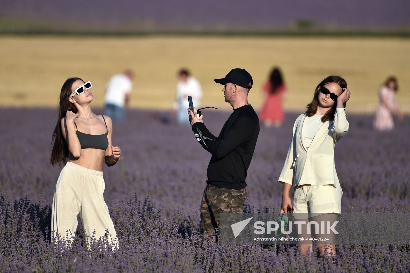 Russia Lavender Fields