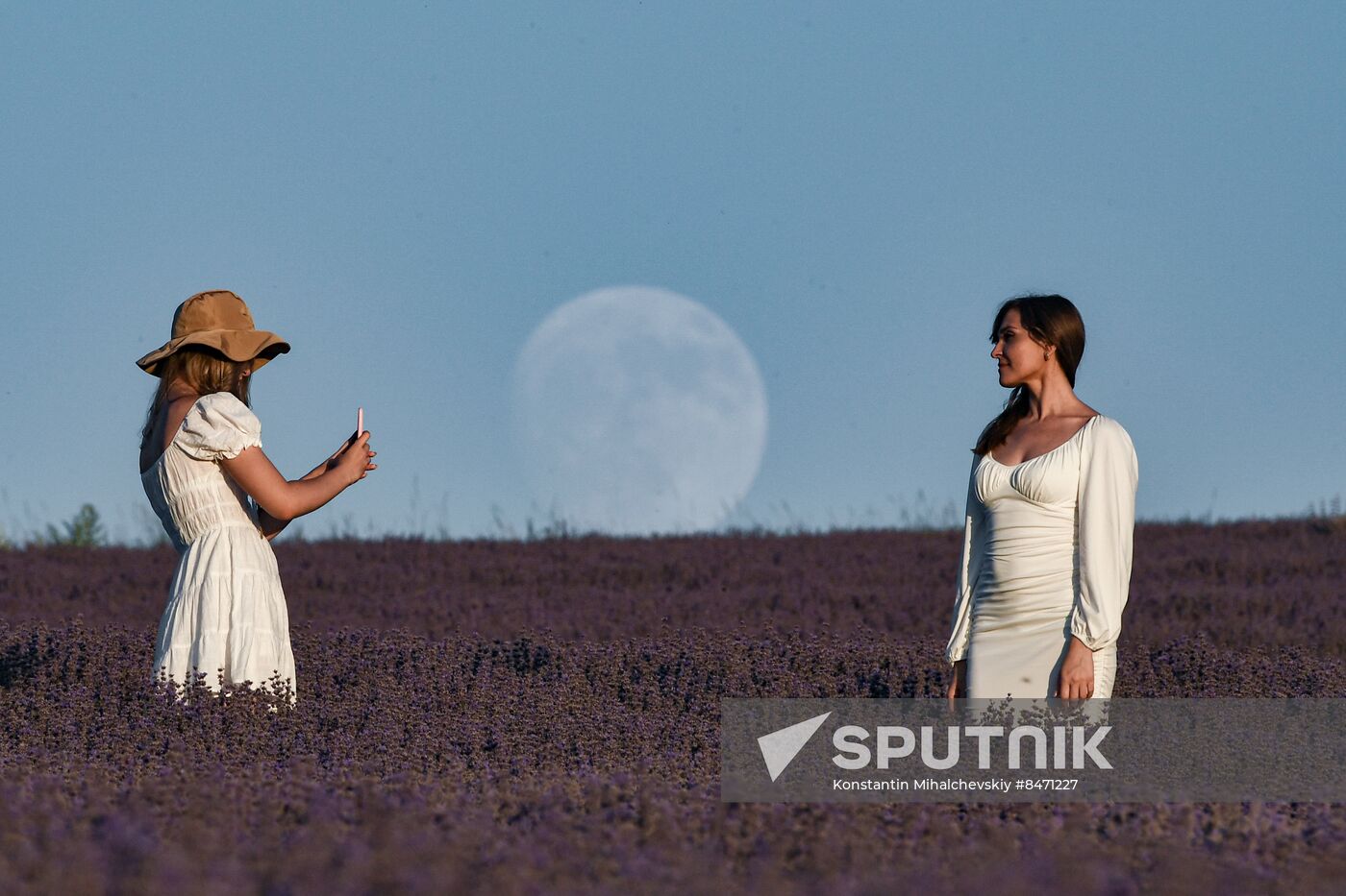 Russia Lavender Fields