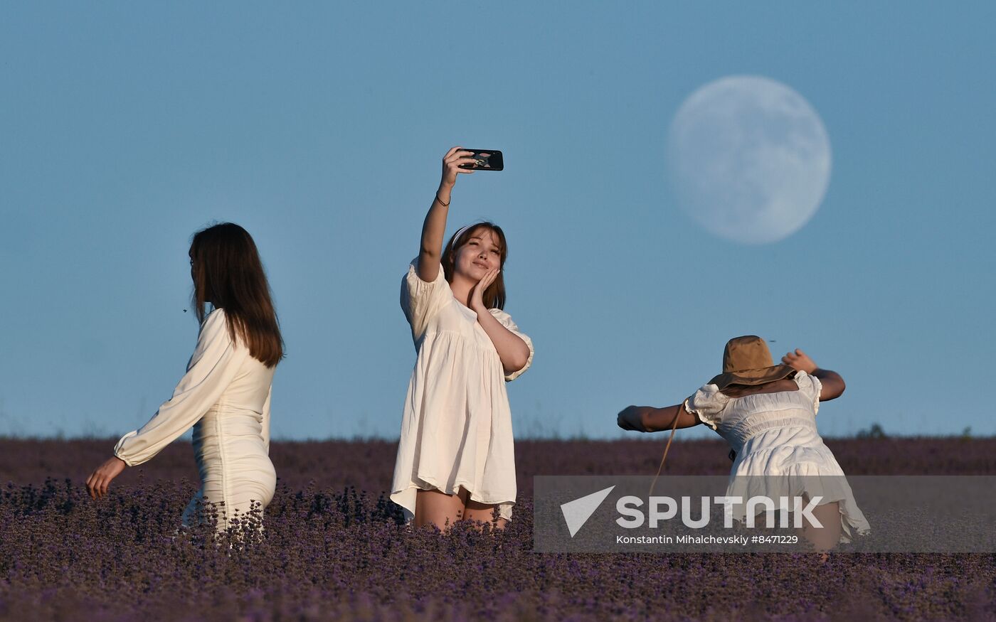 Russia Lavender Fields