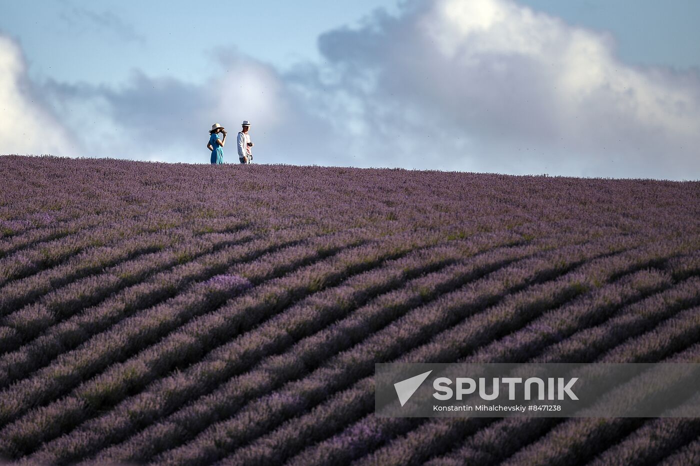 Russia Lavender Fields